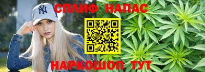 гидра Тулун